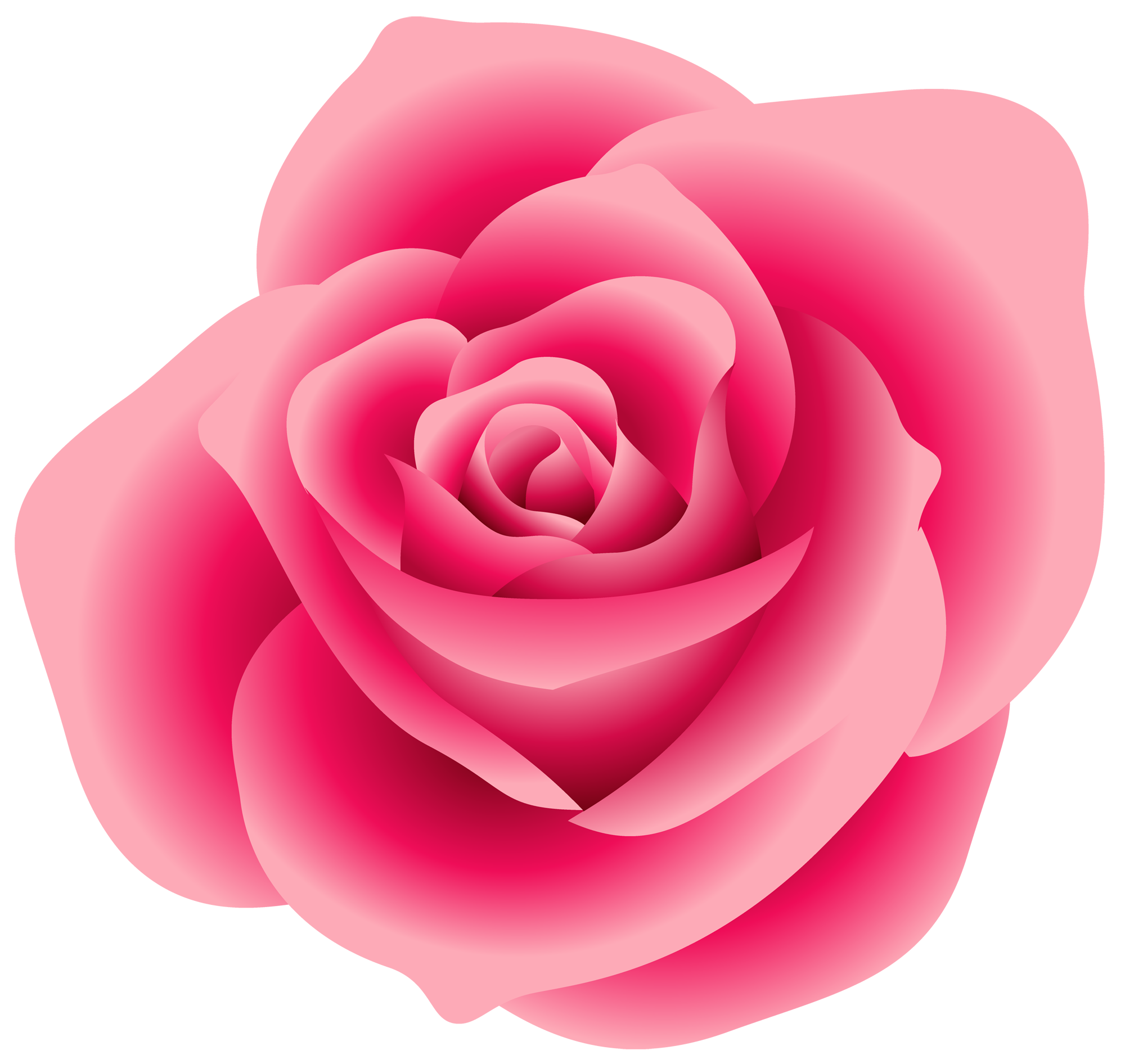 Large Pink Rose Clipart - Pink Rose Clip Art