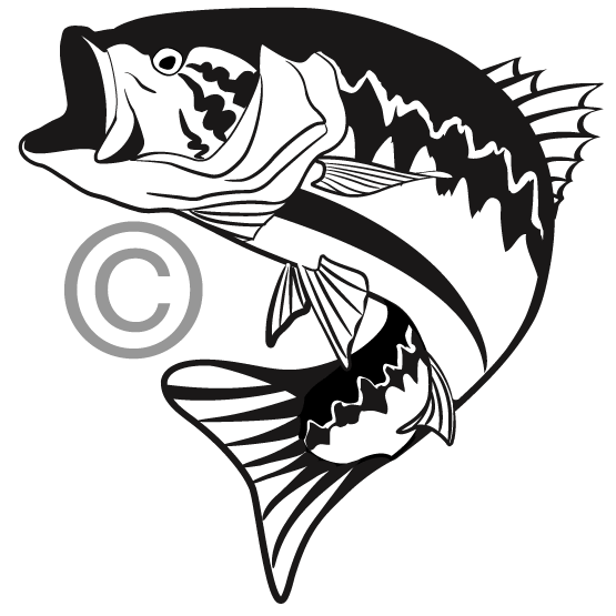 largemouth bass fish clip art - Largemouth Bass Clip Art