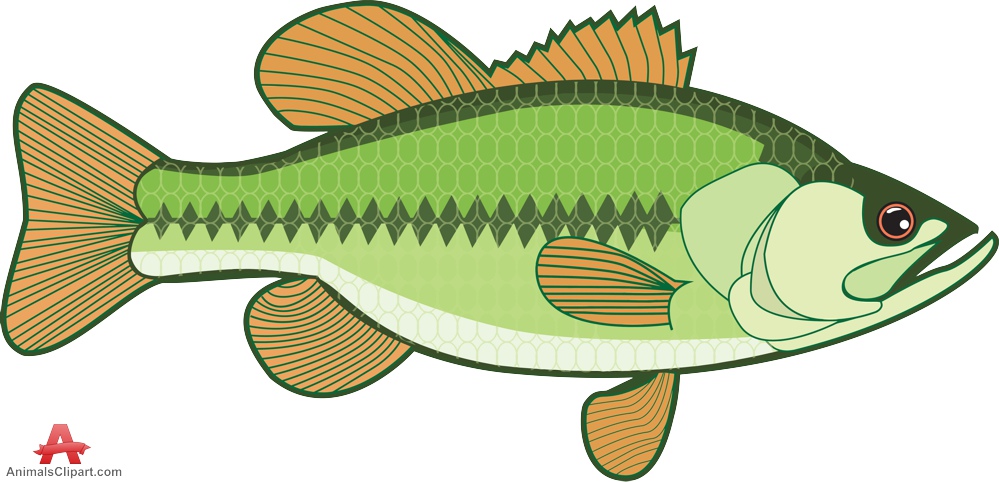 Largemouth Bass Fish Clipart - Bass Fish Clipart
