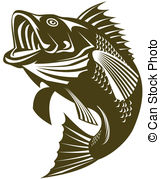 Largemouth Bass - Illustratoion of a largemouth bass jumping Largemouth Bass Clip Artby ...
