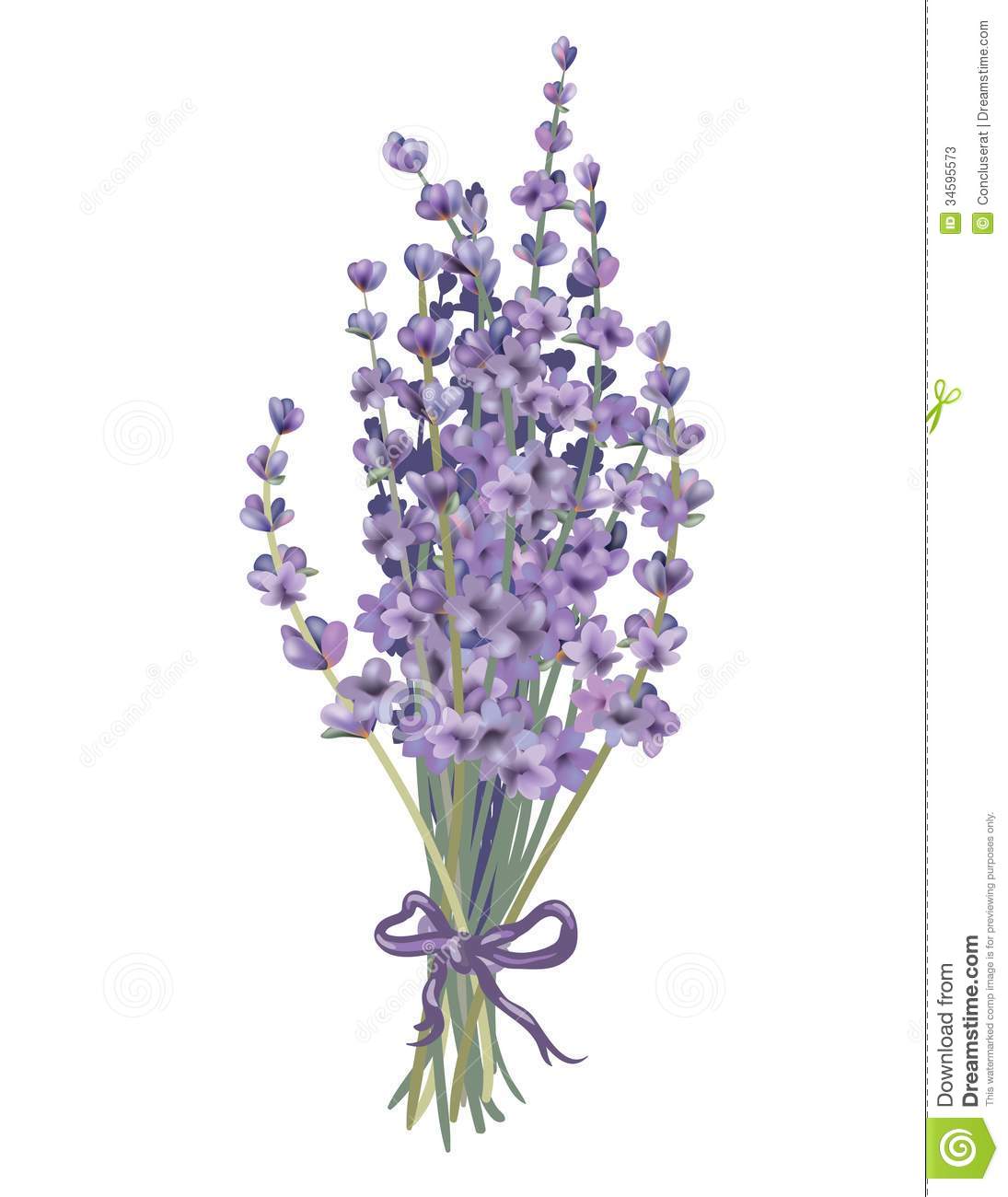 Lavender Flowers Bouquet Vect