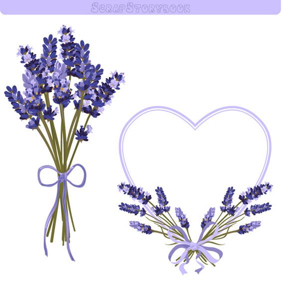 Lavender Flower Frame and Clipart 300 dpi PNG by Scrapstorybook