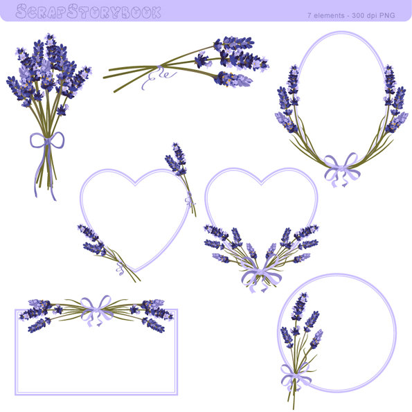 Lavender Flower Frame and Clipart - 300 dpi PNG printable lavender illustration