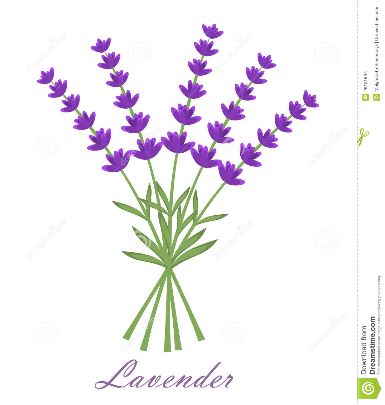 Lavender Flowers Bouquet Vect - Lavender Clipart