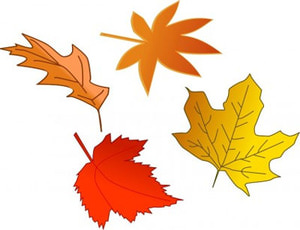 Leaf leaves clipart clipartbo