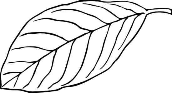 Leaf Clip Art Black And White Clipart Panda Free Clipart Images