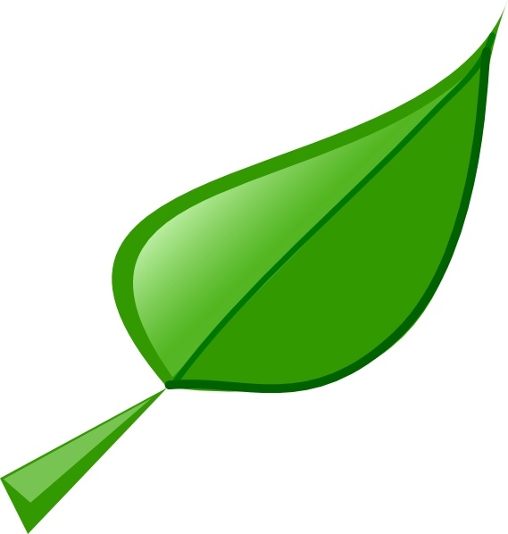 Leaves green leaf clipart .