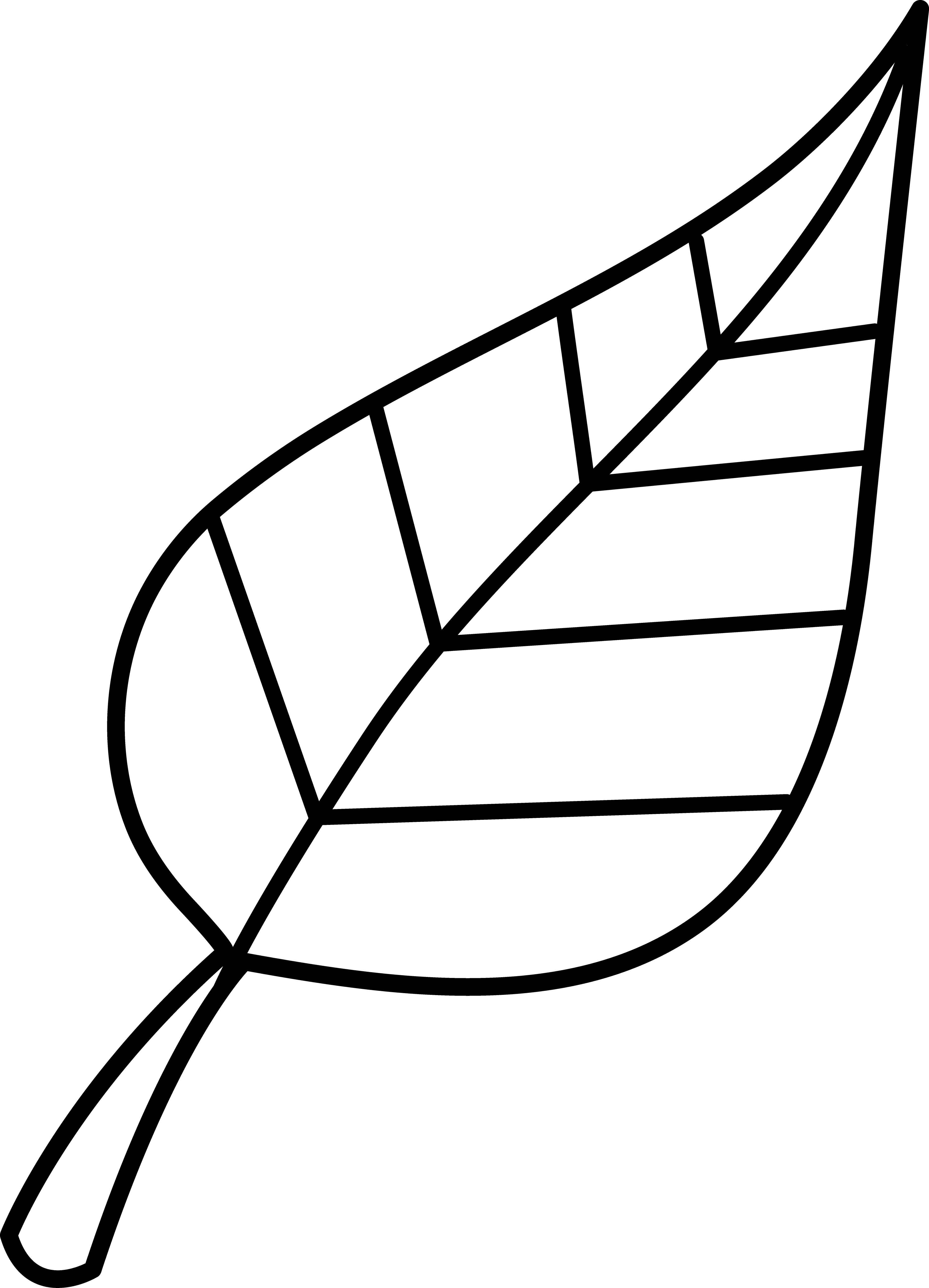 Leaf Clip Art Black And White