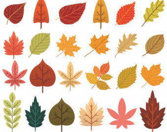 Fall Leaves Clip Art 89