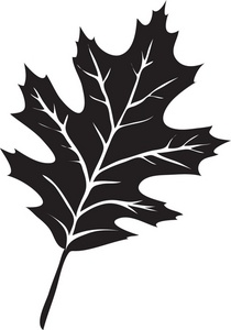 Leaf Clipart Image: The Silhouette Of A Oak Leaf