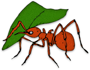 leaf cutter ant. Large Leaf Cutter Ant clipart ...