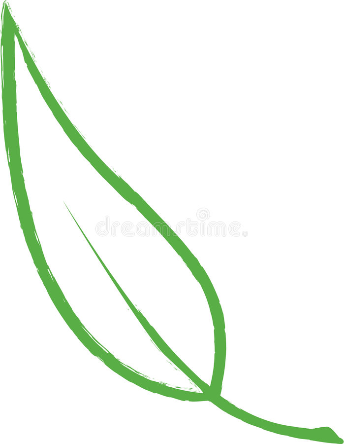 Leaf Outline Images Leaf Outline stock vector. Illustration of fresh, outline - 3553579