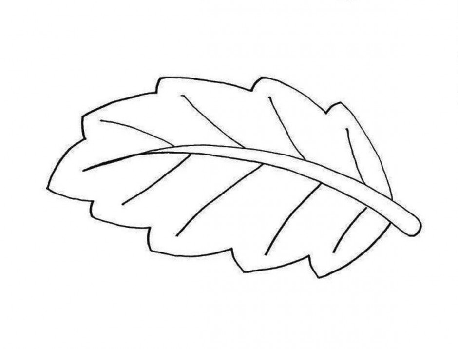 Leaf outline leaf clipart black and white