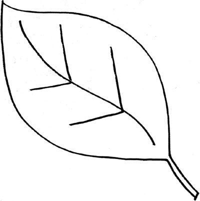 Oak Leaf Clip Art Black And W