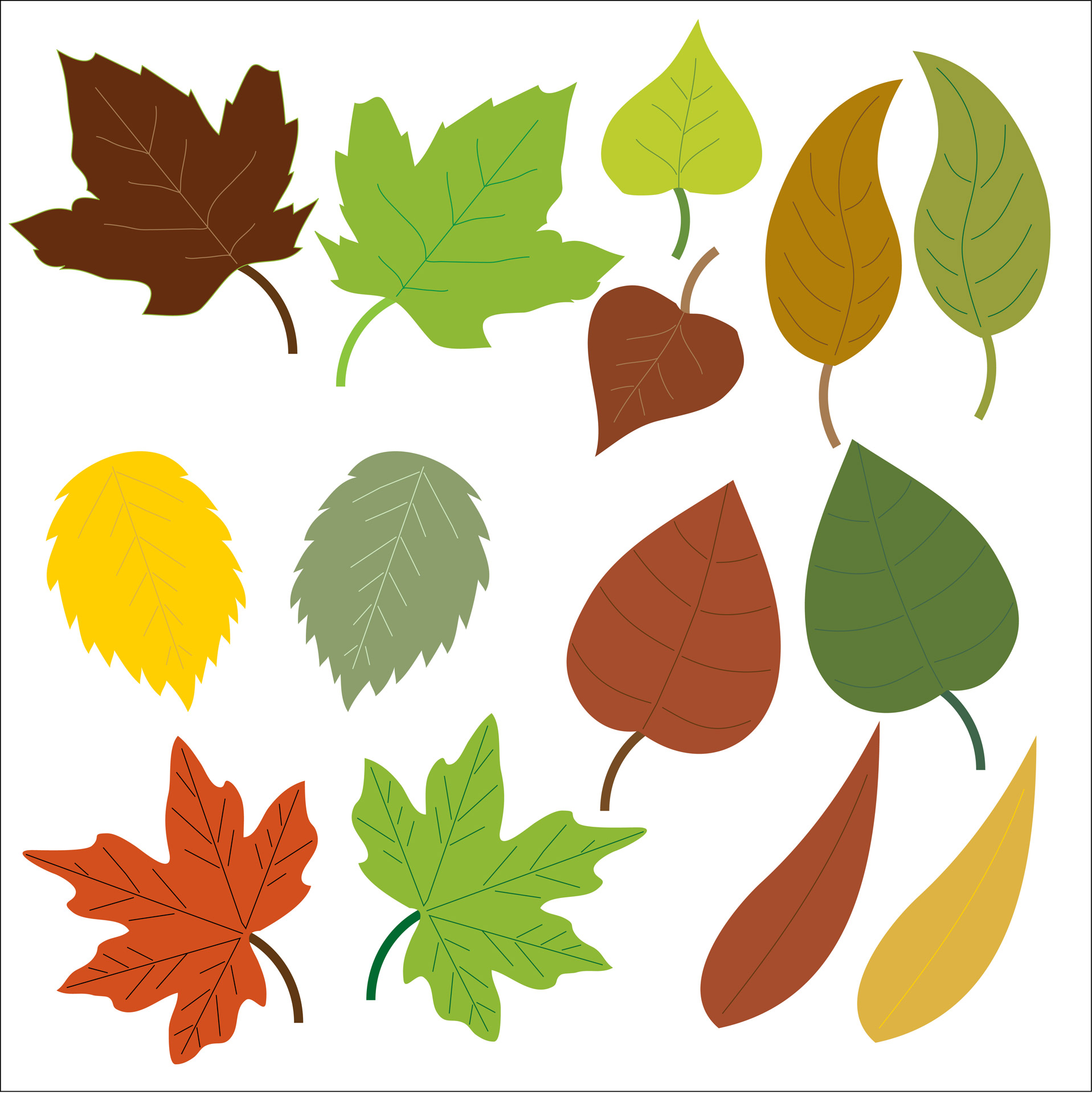 Large Green Leaves Clipart #1