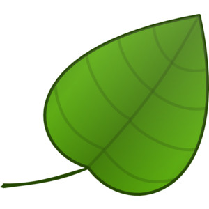Leaf clip art Free vector 54.