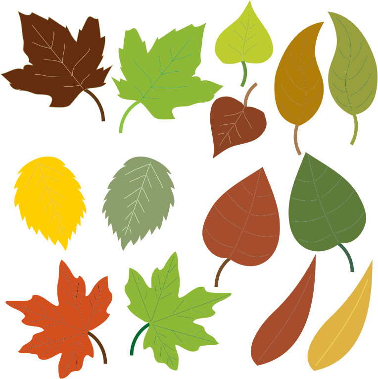 Leaf fall clip art autumn cli