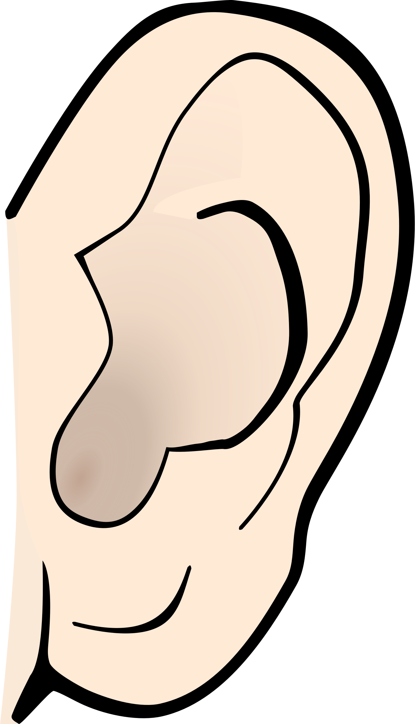 Left Big Ears Clipart - Ears Clip Art