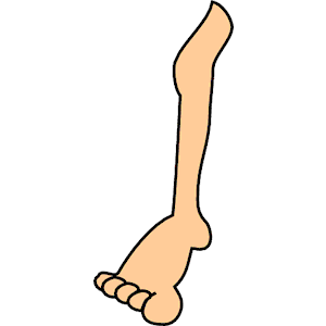 Leg 06 Clipart Cliparts Of Free Download Wmf Eps Emf Svg