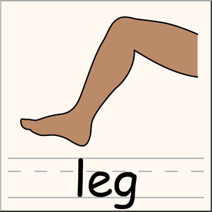 vector set of cartoon leg vec