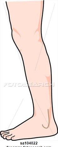 Clip Art: Parts of the Body: 