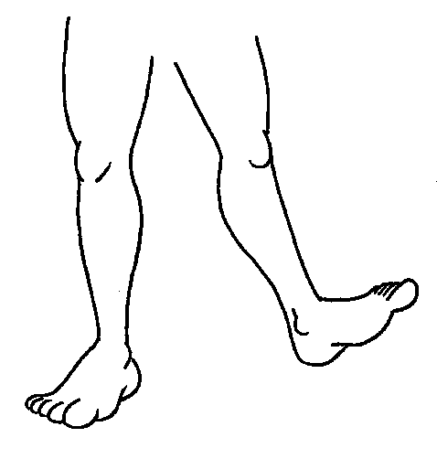 leg clipart 1 - Leg Clipart