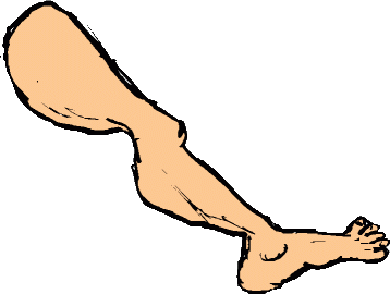 leg clipart. Use These Free Images For Your Websites Art Projects Reports And