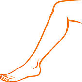 woman feet (woman leg)