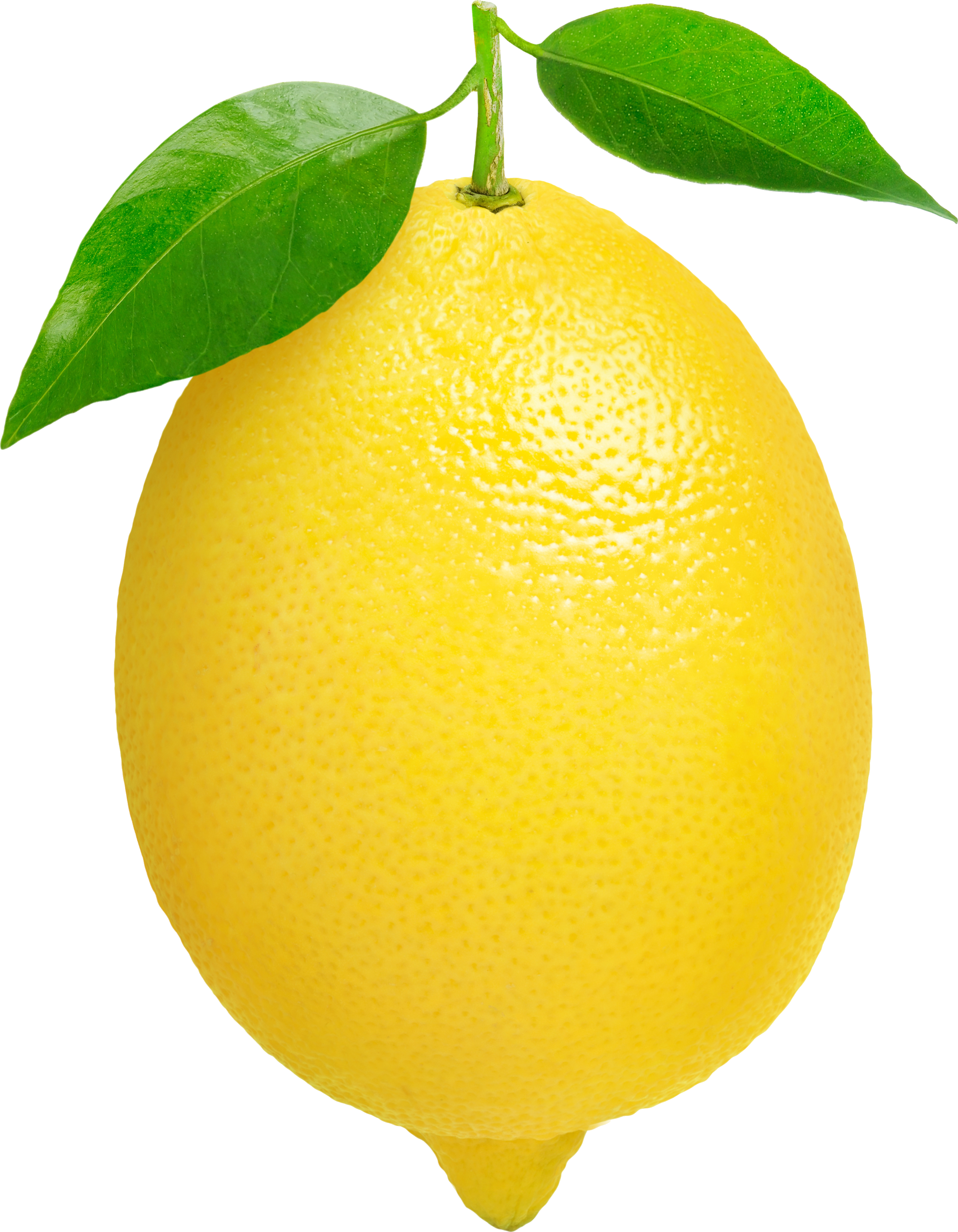 Lemon clipart transparent