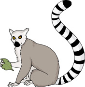 Lemur Clip Art