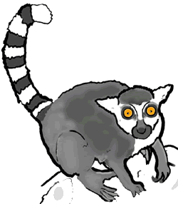 Vector - lemur animal cartoon