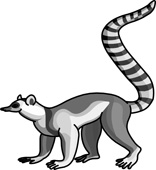 Lemur Clipart Size: 52 Kb - Lemur Clipart