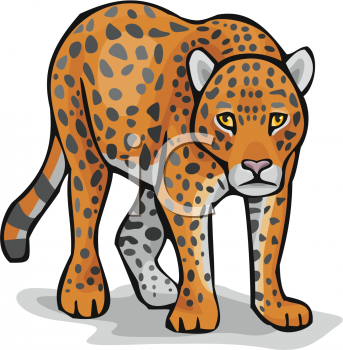 Leopard Clip Art - Leopard Clip Art