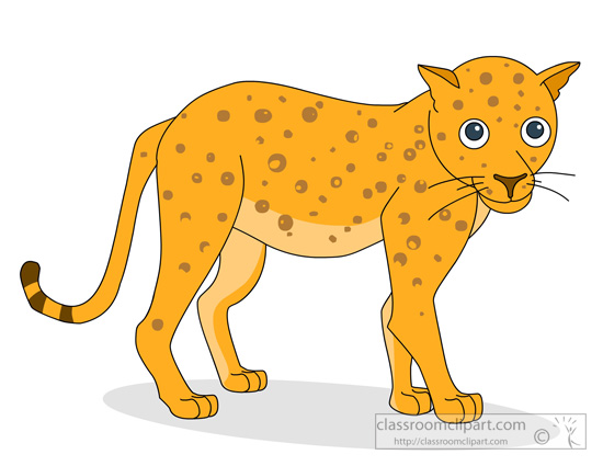 baby-leopard-446.jpg