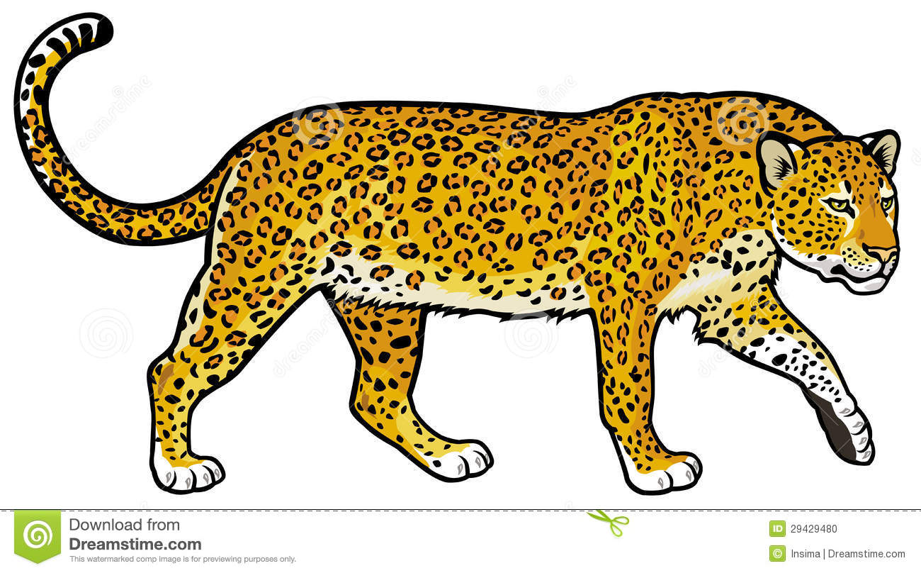 leopard clipart
