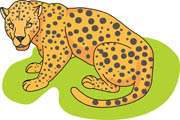 Leopard Crouching Size: 59 Kb - Leopard Clip Art