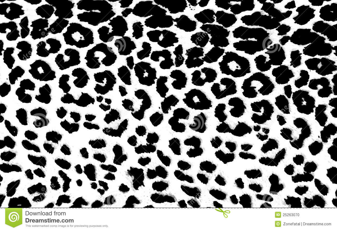 Leopard Print Stock Photo Image 25263070
