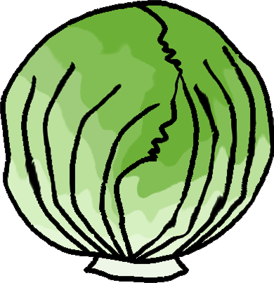 lettuce clipart