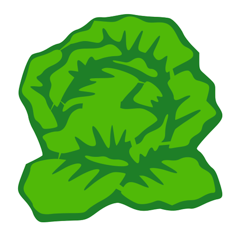 Rows Of Lettuce Clipart