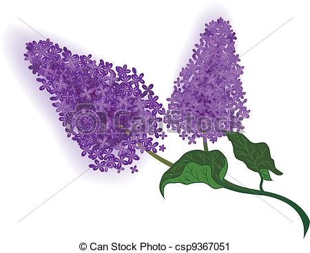 Lilac branch Clip Artby Givaga5/605; lilac - vector illustration of the lilac branch