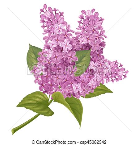 Heart from flowers of a lilac