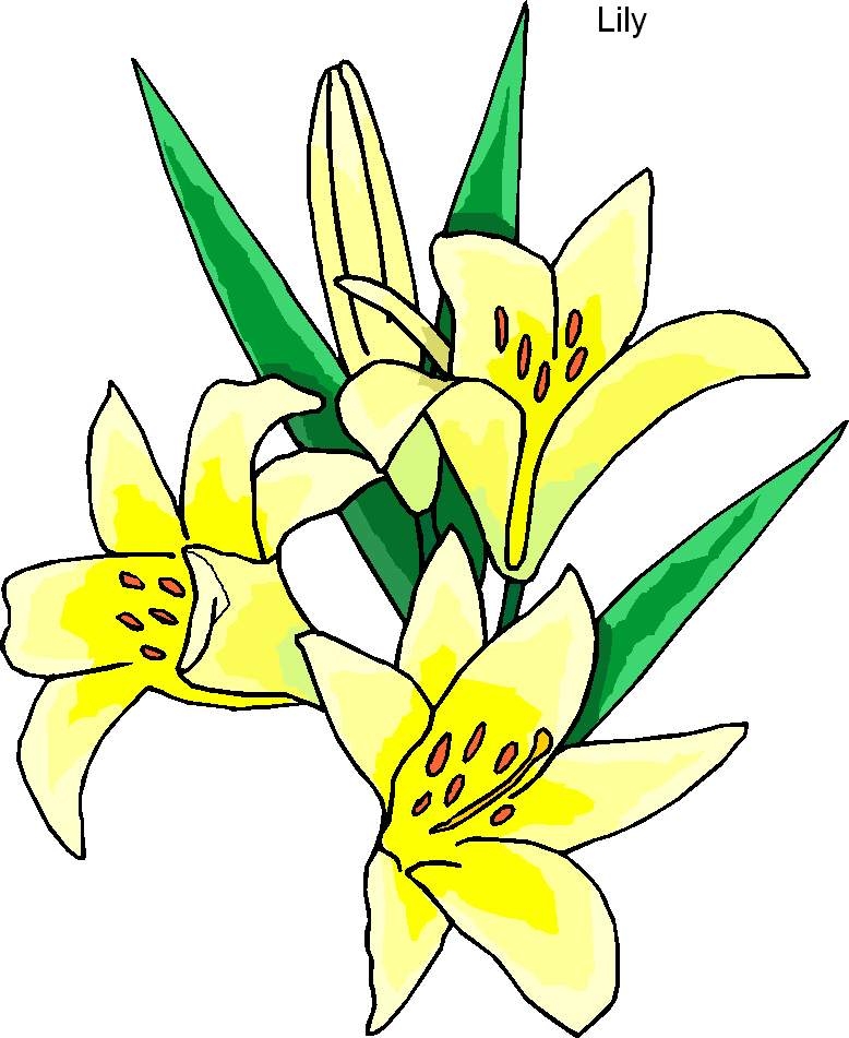 lily clipart - Lily Clip Art