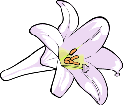 Lily clipart clipart - Lily Clip Art