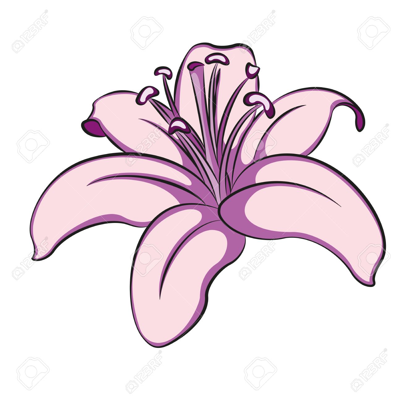 Flower lily, love symbol, .