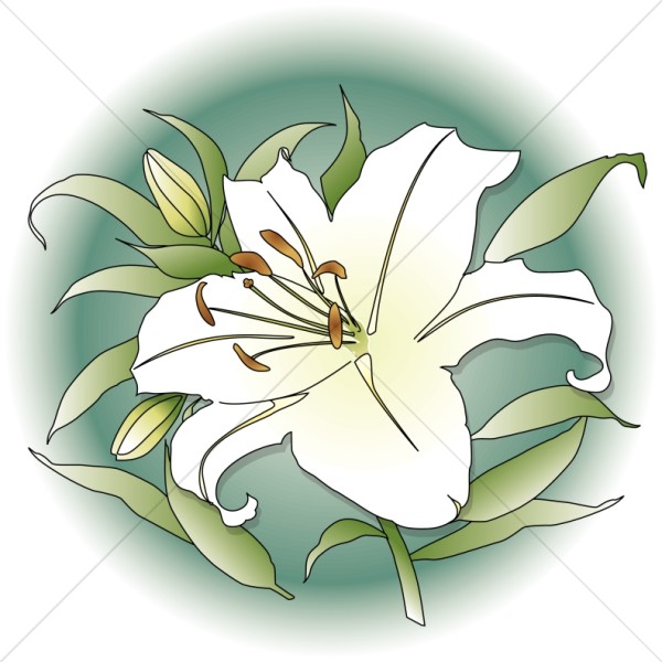 Spring Lily with Green Circle