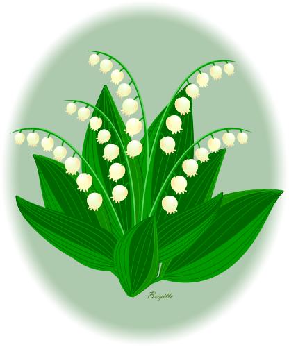 Lilies of the valley and blue