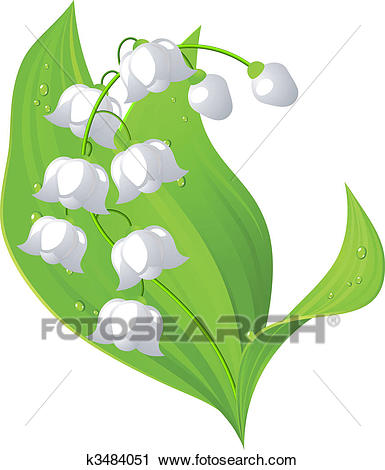 Clipart - Lily of the valley. Fotosearch - Search Clip Art, Illustration  Murals,