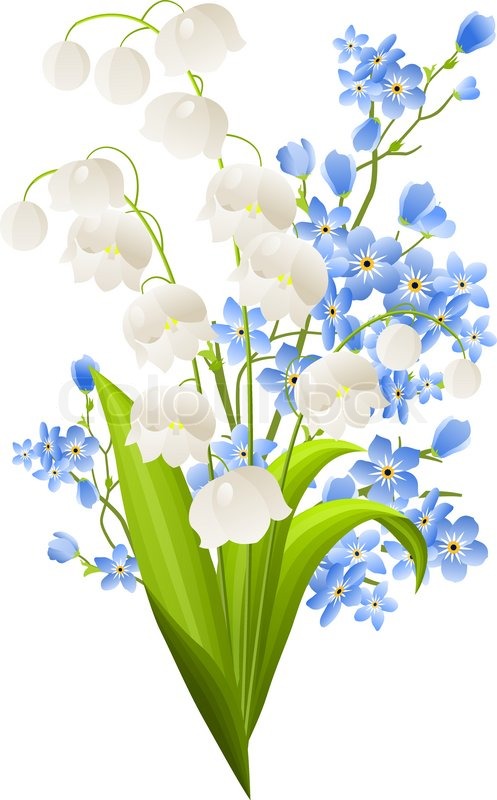 Lilies of the valley and blue flowers isolated on white | Stock Vector |  Colourbox