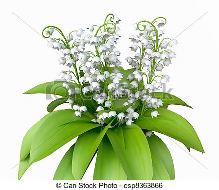 Lily of the Valley - csp8363866