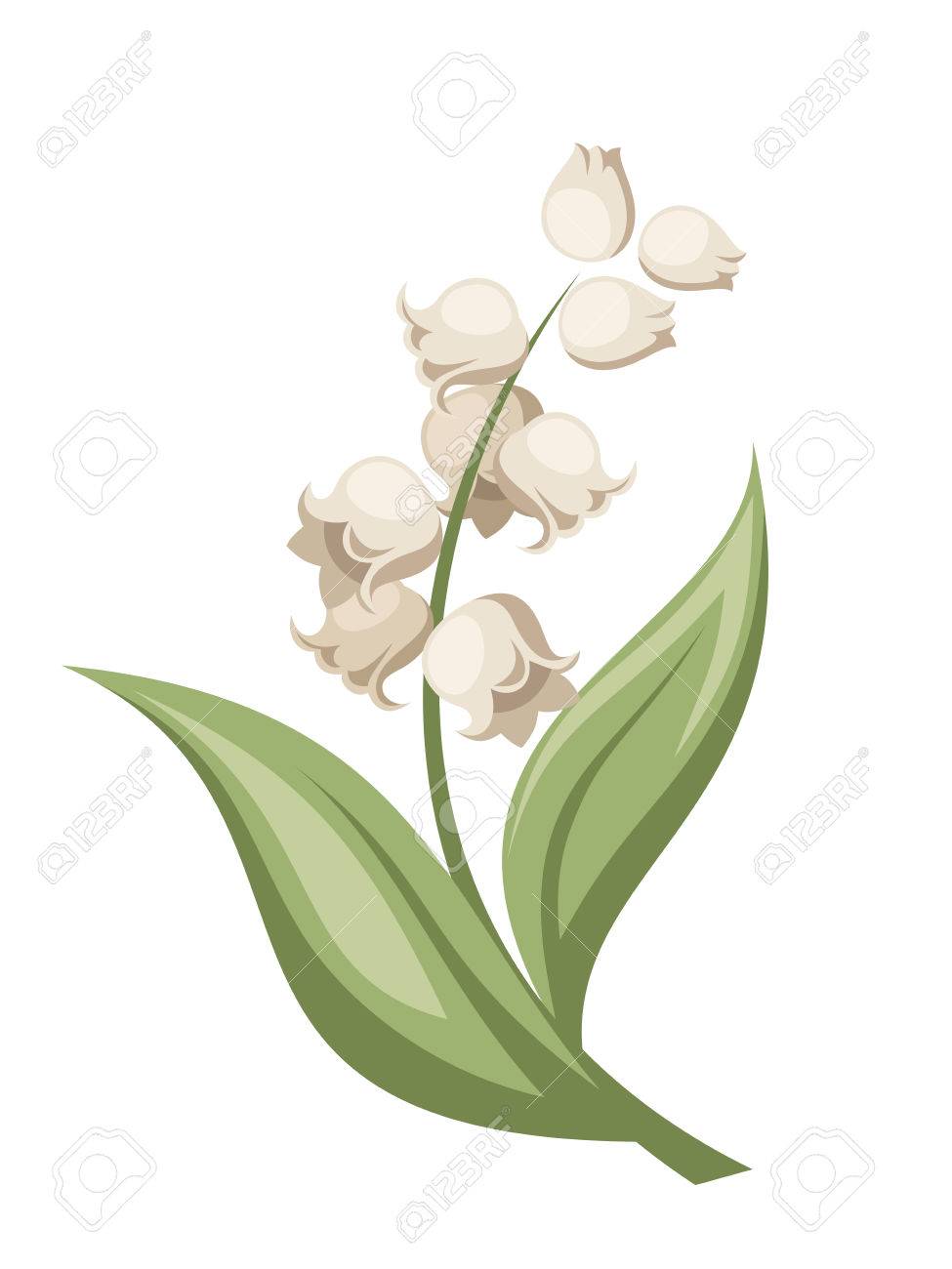 Lily of the valley flower Vector illustration Stok Fotoğraf - 27333211